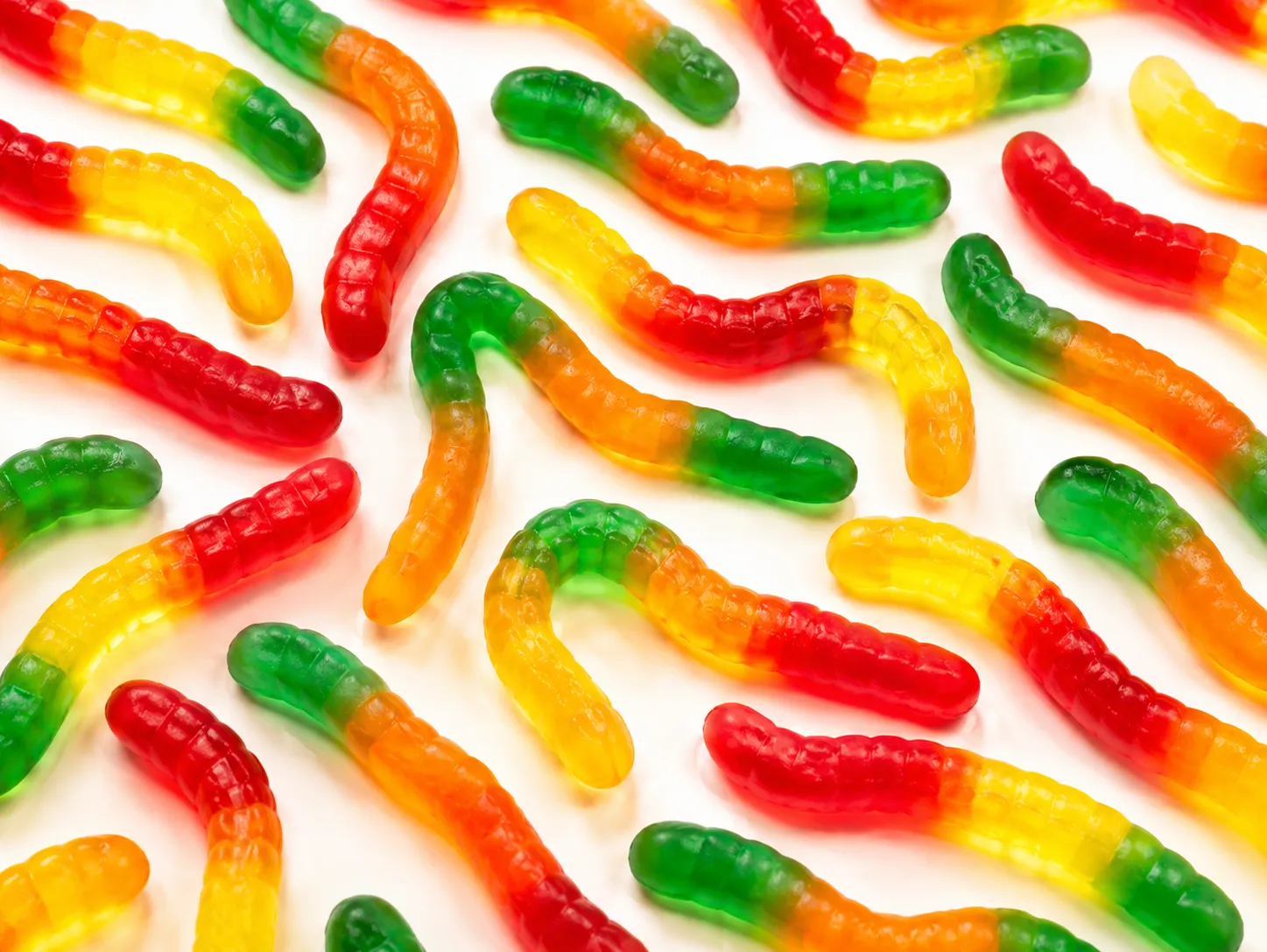 Neon Renkli Solucanlar